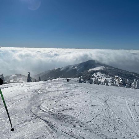 Kopaonik -Beautiful View Apartment- Skiing Eksteriør billede