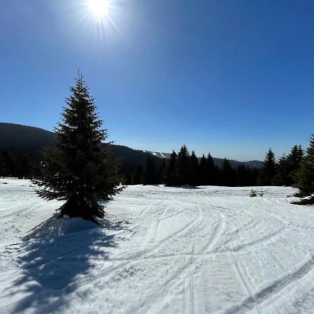Kopaonik -Beautiful View Apartment- Skiing Eksteriør billede