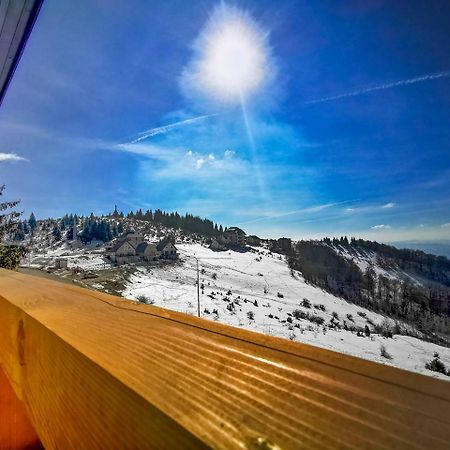 Kopaonik -Beautiful View Apartment- Skiing Eksteriør billede