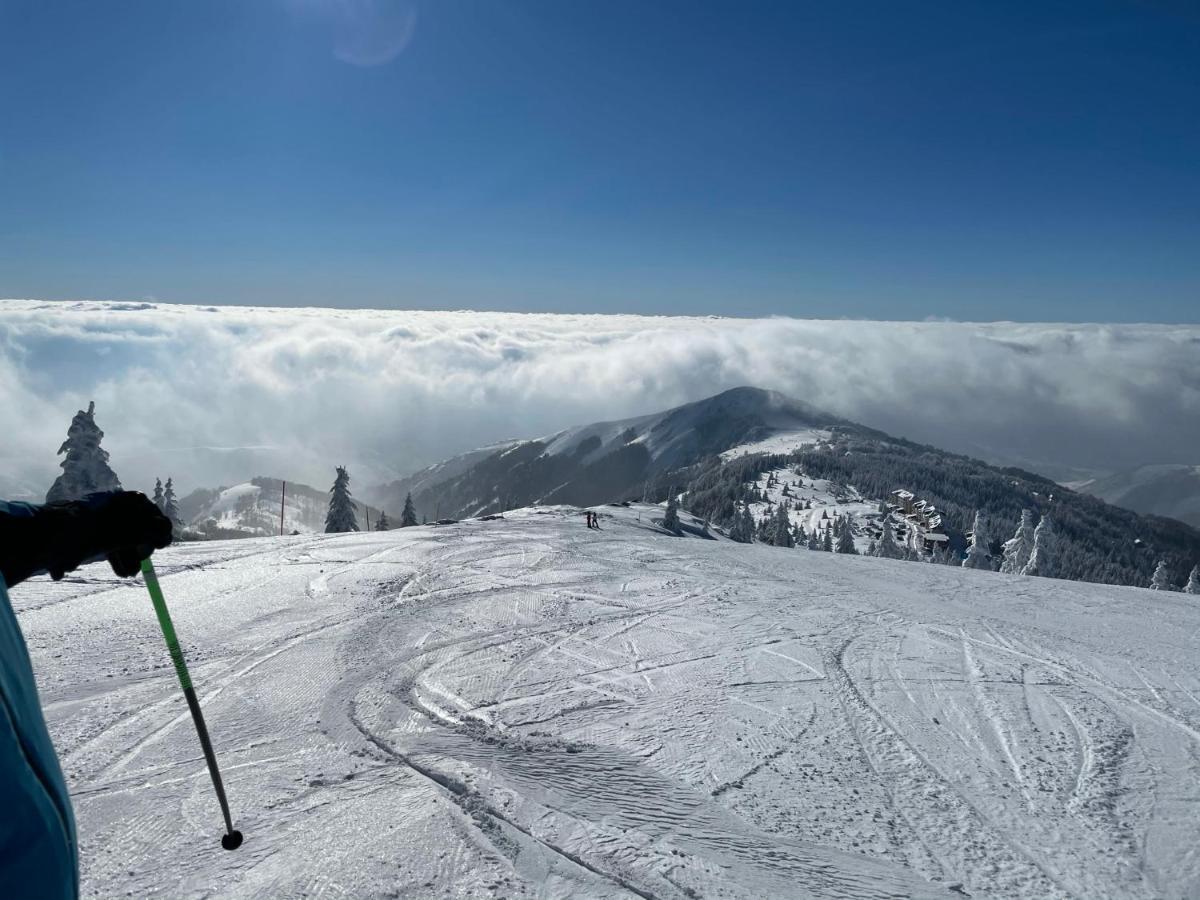 Kopaonik -Beautiful View Apartment- Skiing Eksteriør billede