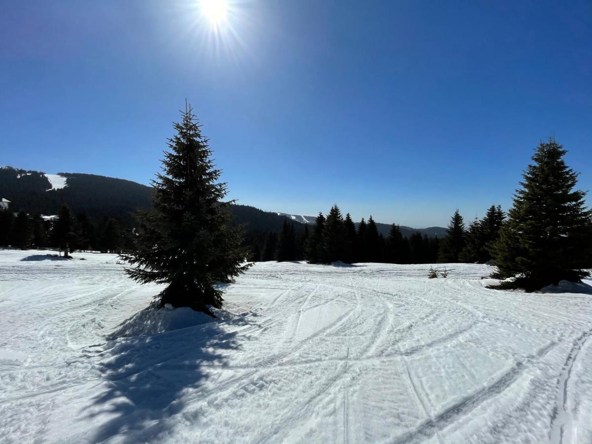 Kopaonik -Beautiful View Apartment- Skiing Eksteriør billede